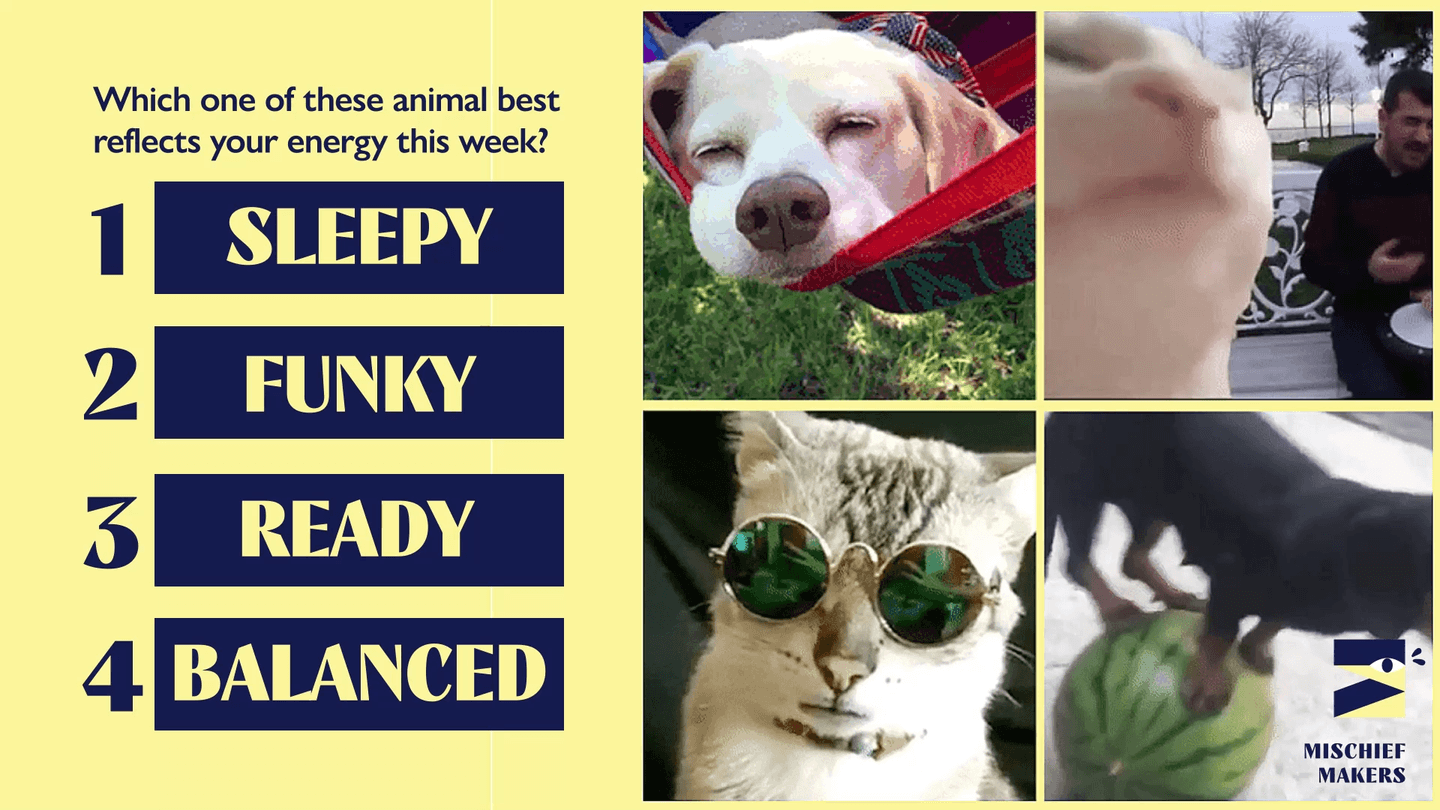 check in check out workshop mischief makers